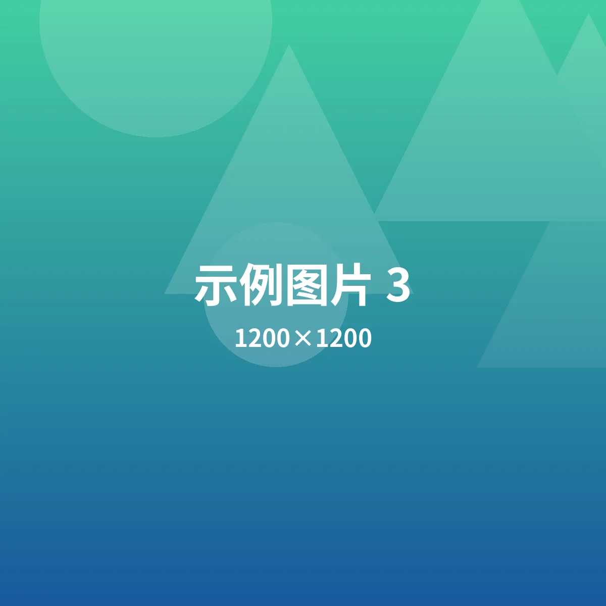 示例图片 3