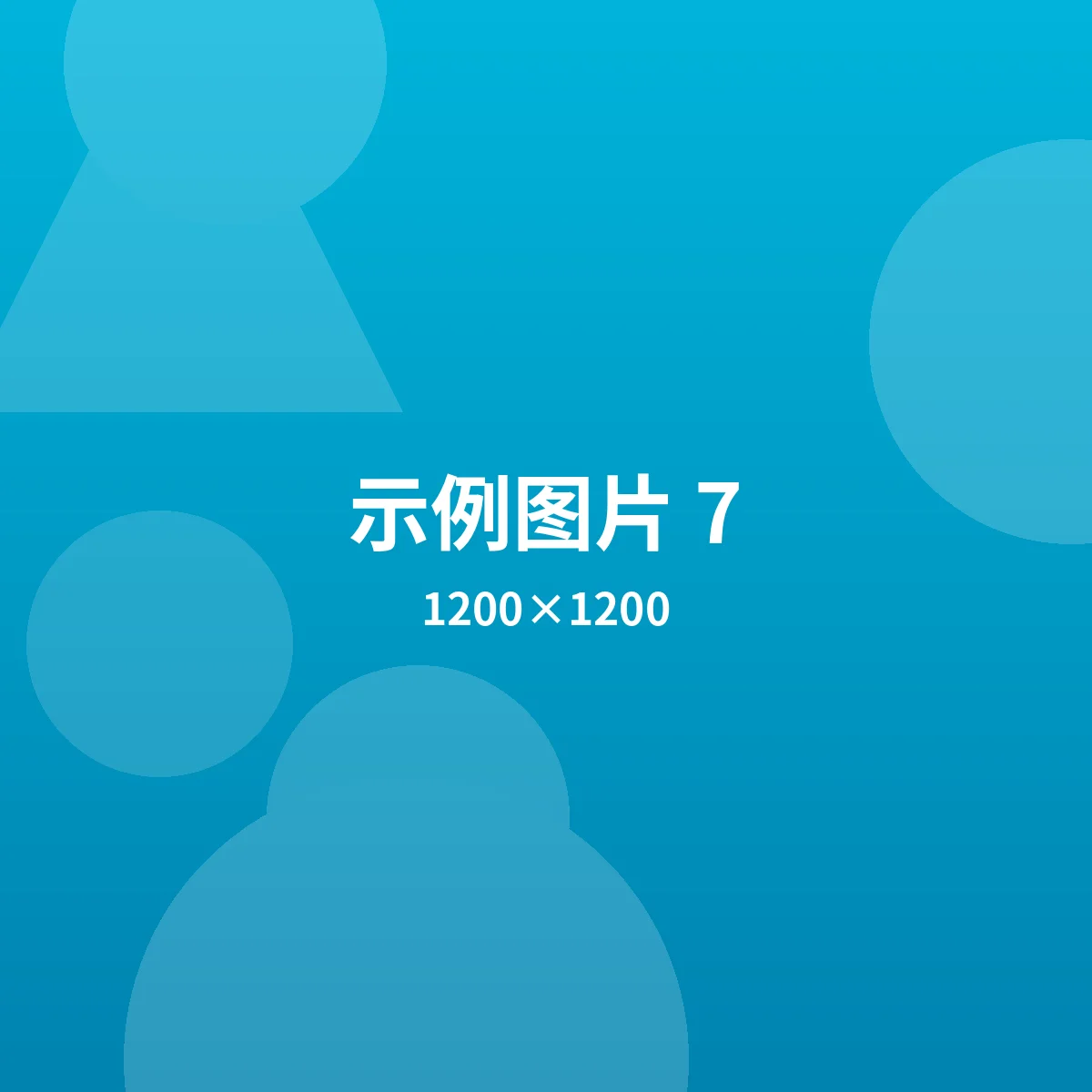示例图片 7